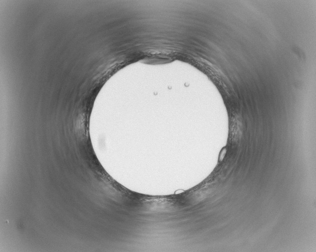 X0000115530428200912181531