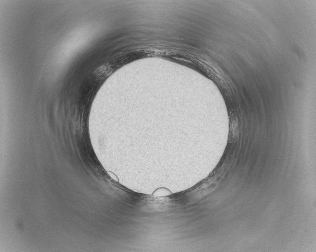 X0000115530429200912181531