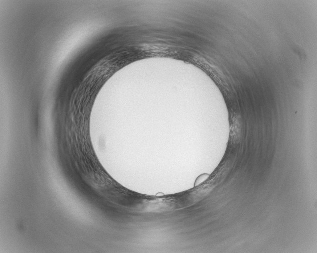 X0000115530430200912181531