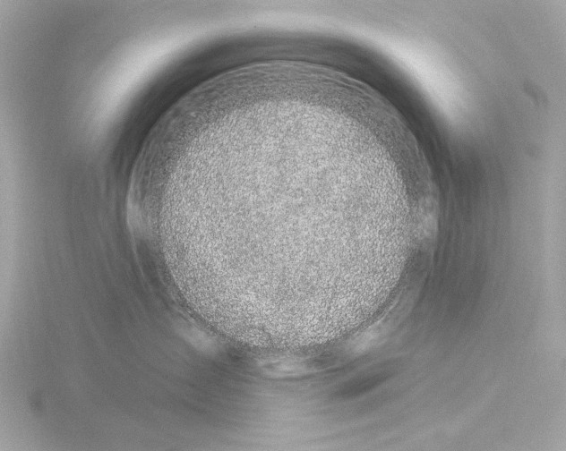 X0000115530431200912181531