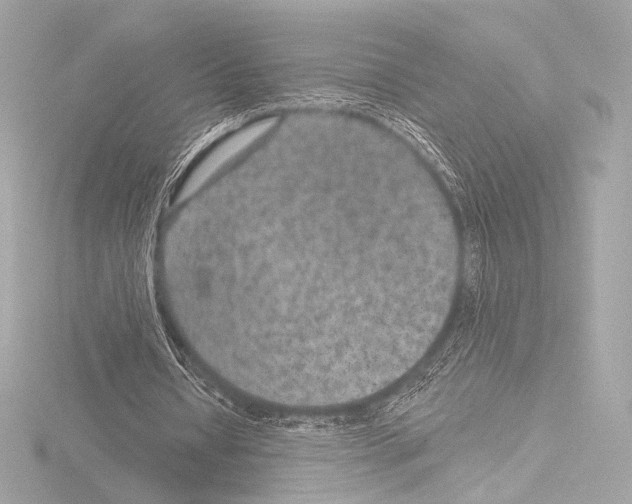 X0000115530434200912181530