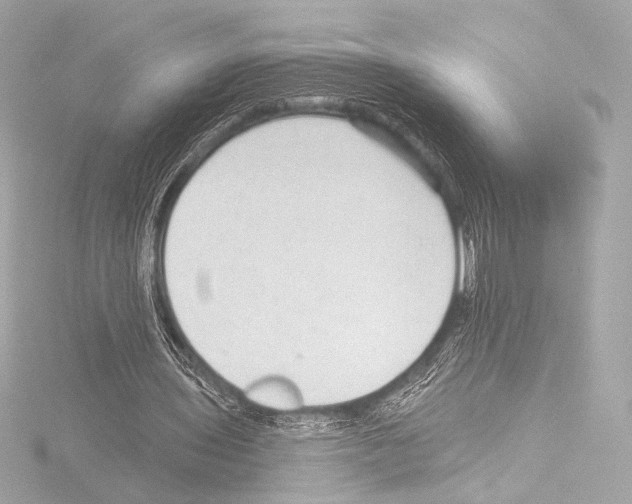 X0000115530435200912181530