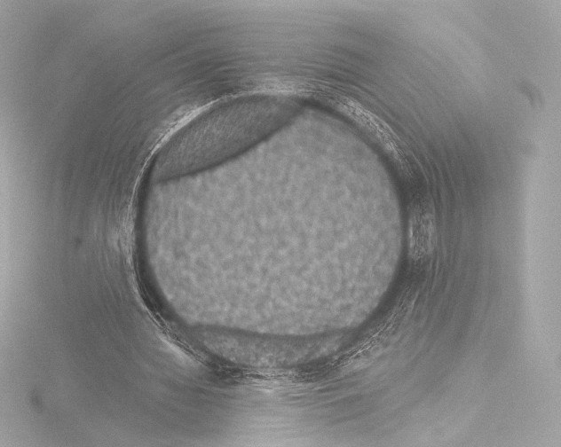 X0000115530436200912181530