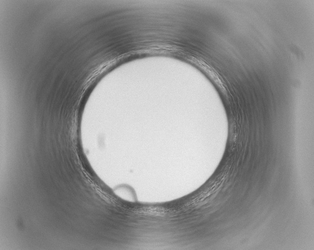 X0000115530437200912181530