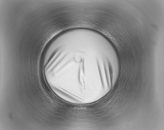 X0000115530440200912181530