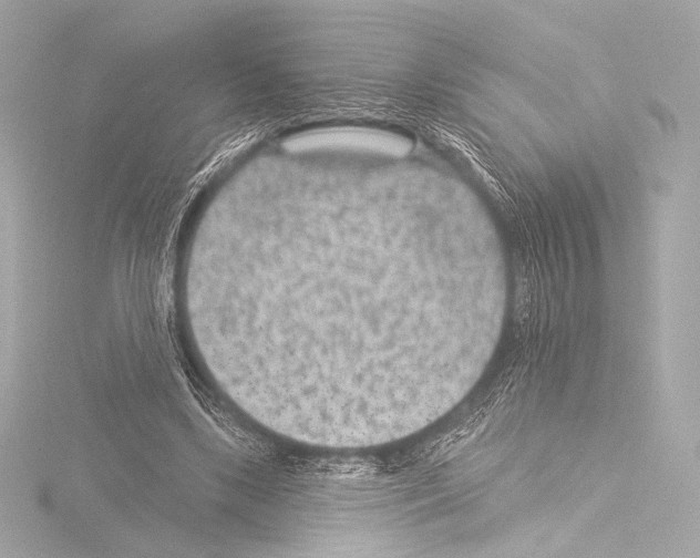 X0000115530443200912181530