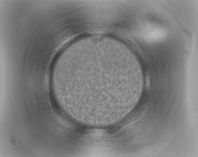 X0000115530444200912181530