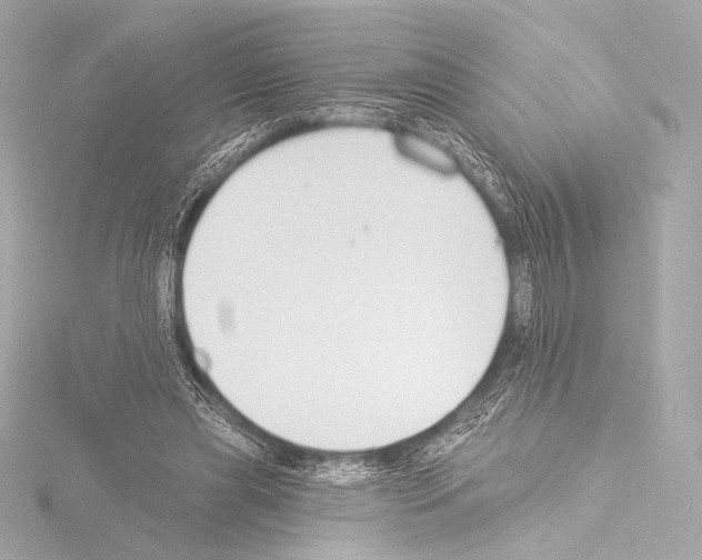 X0000115530445200912181530