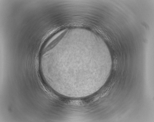 X0000115530446200912181530