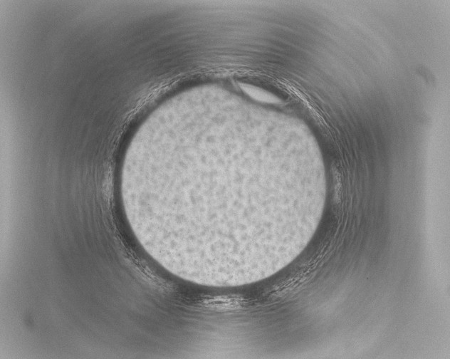 X0000115530447200912181530