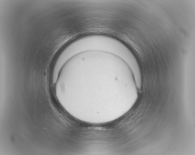 X0000115530448200912181530