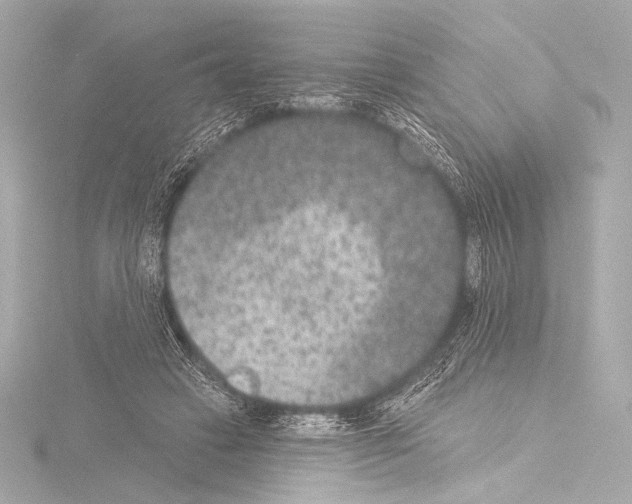 X0000115530449200912181530