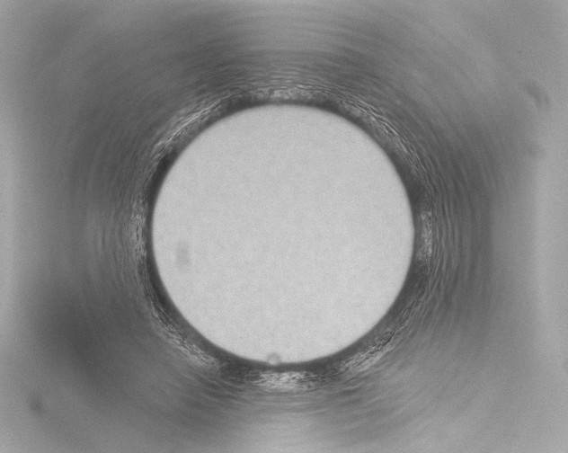 X0000115530450200912181530