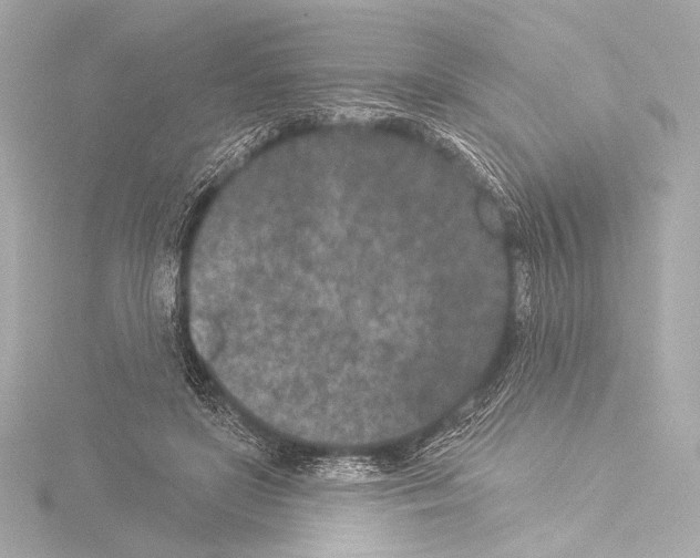 X0000115530451200912181530