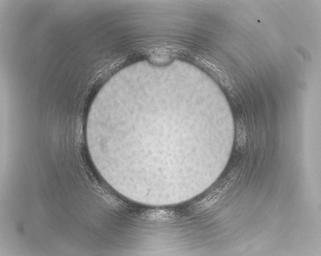 X0000115530453200912181530