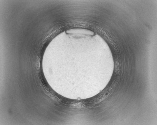 X0000115530454200912181530