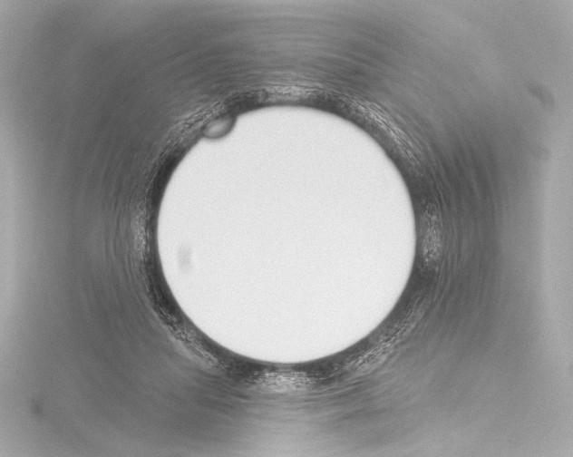 X0000115530455200912181530