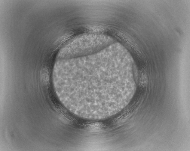 X0000115530456200912181530