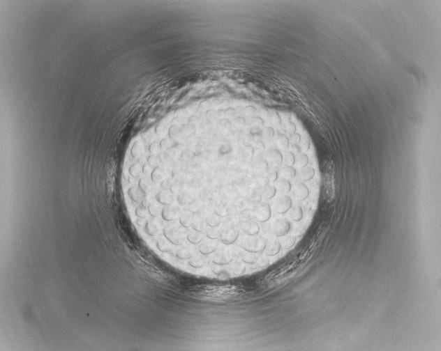 X0000115530458200912181530