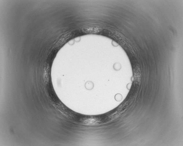 X0000115530460200912181530