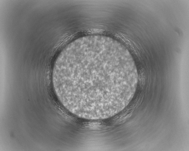 X0000115530462200912181530