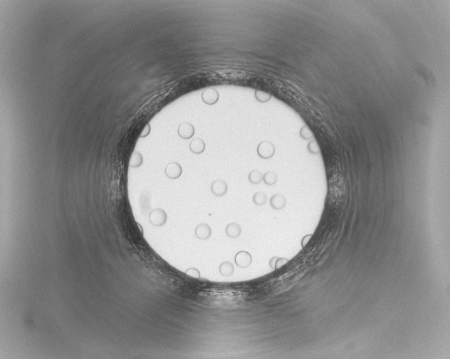 X0000115530464200912181530