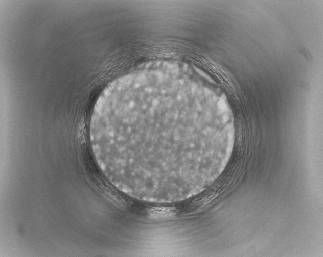 X0000115530465200912181530