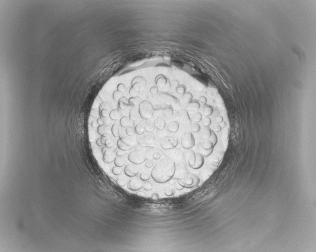 X0000115530466200912181530