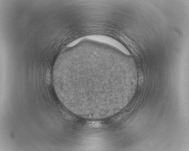 X0000115530469200912181530