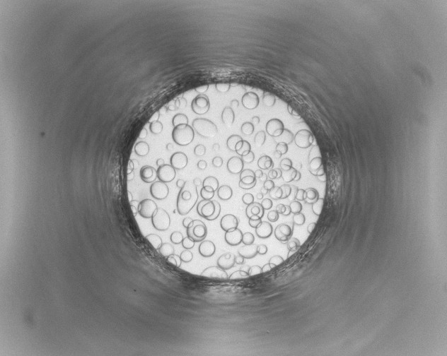 X0000115530470200912181530