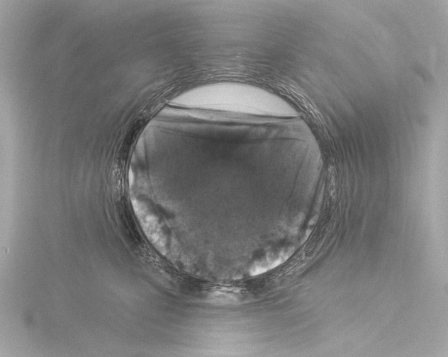 X0000115530471200912181530