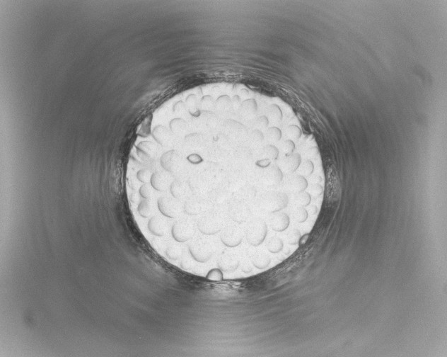 X0000115530474200912181530