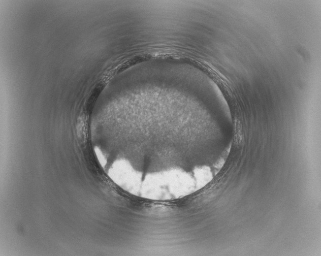 X0000115530475200912181530