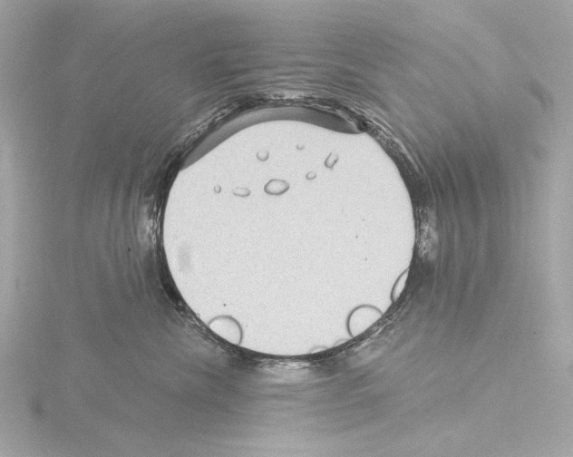 X0000115530476200912181531