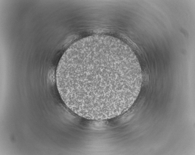 X0000115530479200912181531