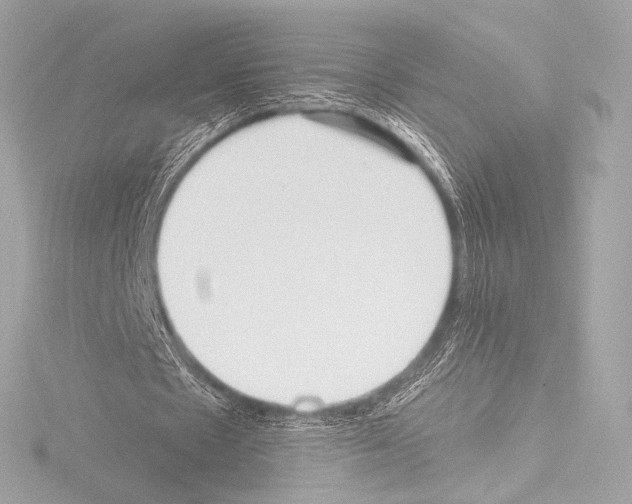 X0000115530481200912181530