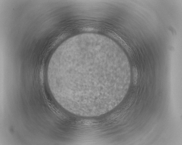 X0000115530482200912181530