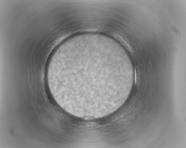 X0000115530483200912181530