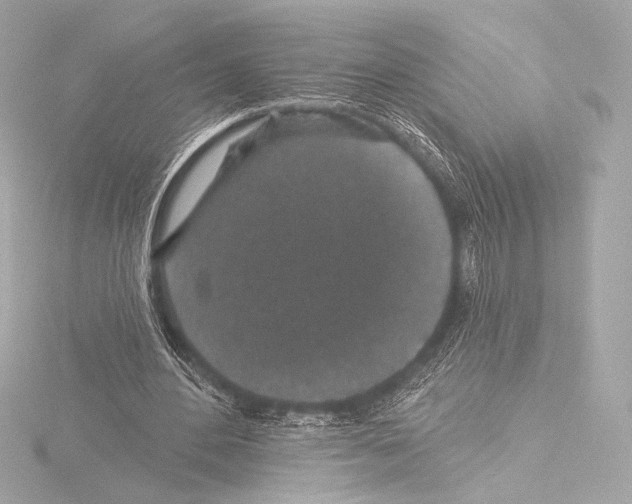 X0000115530484200912181530