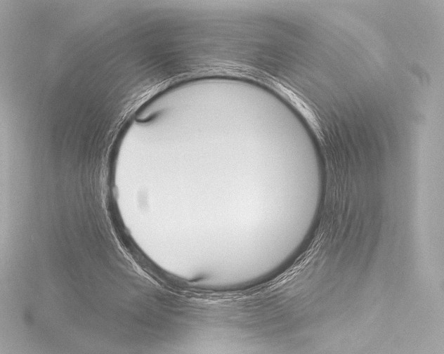 X0000115530485200912181530