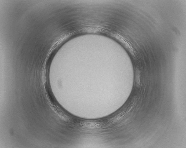 X0000115530486200912181530