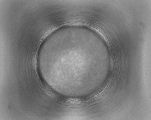 X0000115530487200912181530