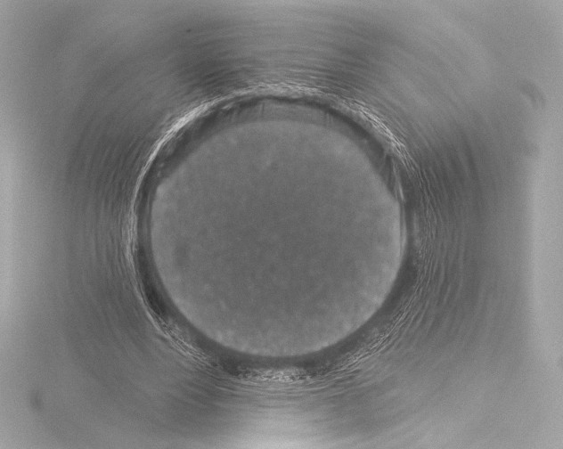 X0000115530488200912181530