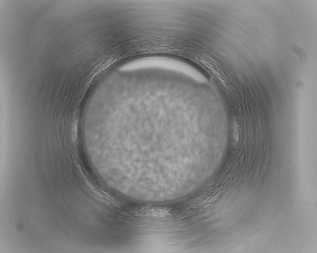 X0000115530491200912181530