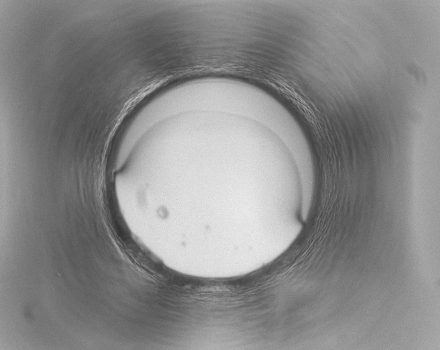 X0000115530492200912181530