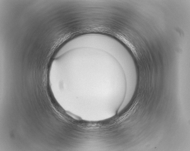 X0000115530493200912181530