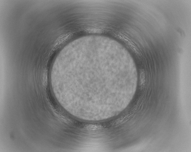 X0000115530494200912181530