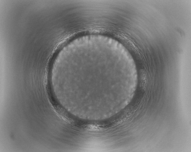 X0000115530496200912181530