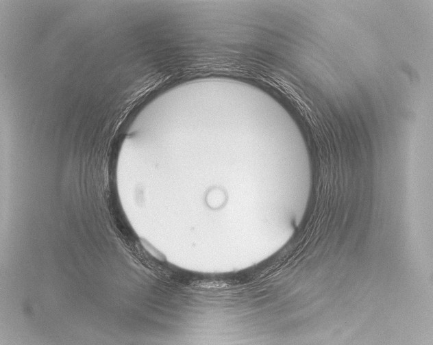 X0000115530500200912181530