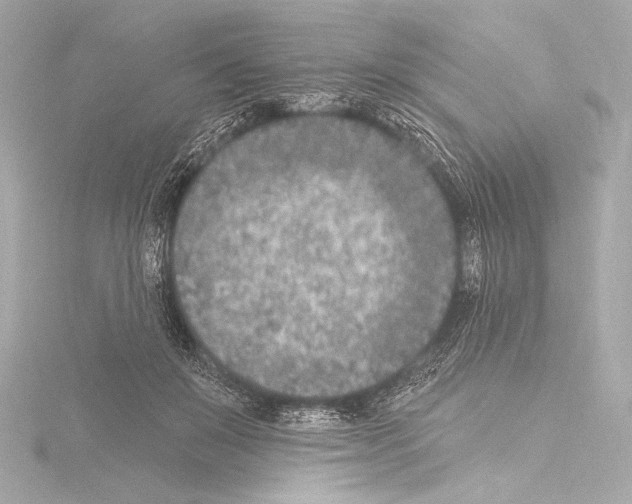 X0000115530503200912181530